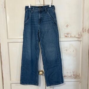 Banana Republic Blue Women's wide leg Jeans